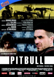 plakat: Pitbull