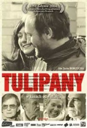 plakat: Tulipany