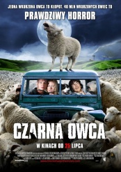plakat: Czarna owca