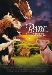 plakat: Babe - świnka z klasą