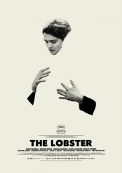 plakat: Lobster