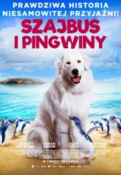 plakat: Szajbus i pingwiny