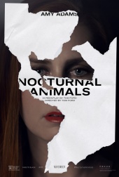 plakat: Zwierzęta nocy