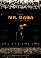 plakat: Mr. Gaga 