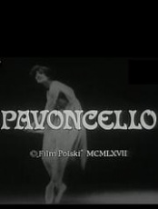 plakat: Pavoncello (TV)