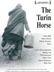 plakat: Koń turyński